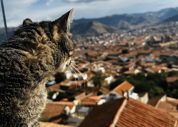 Summit Viewpoint House San Blas * Cusco